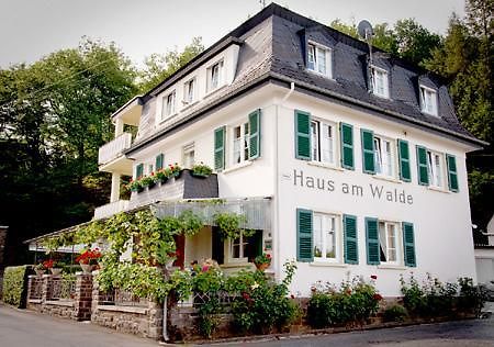 Pension "Haus Am Walde" Brodenbach, Mosel المظهر الخارجي الصورة