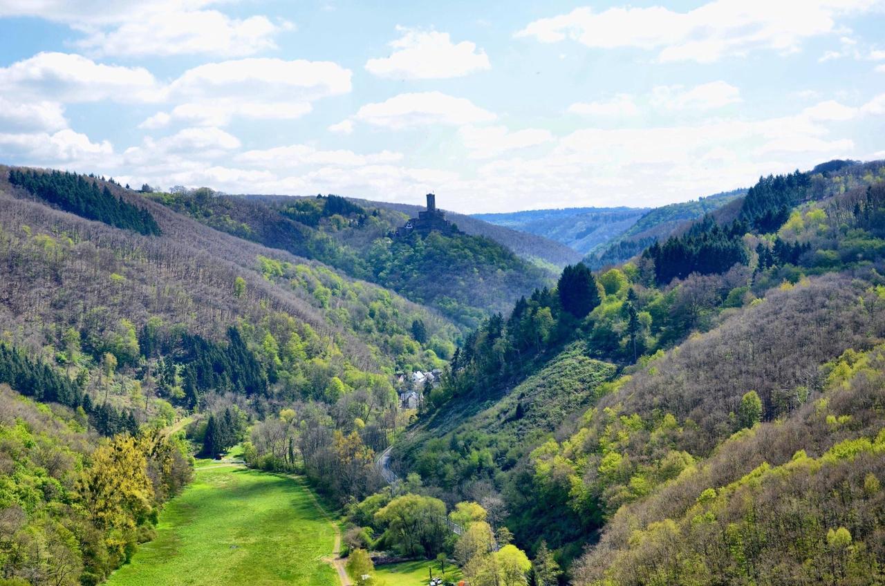 Pension "Haus Am Walde" Brodenbach, Mosel المظهر الخارجي الصورة