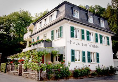 Pension "Haus Am Walde" Brodenbach, Mosel المظهر الخارجي الصورة
