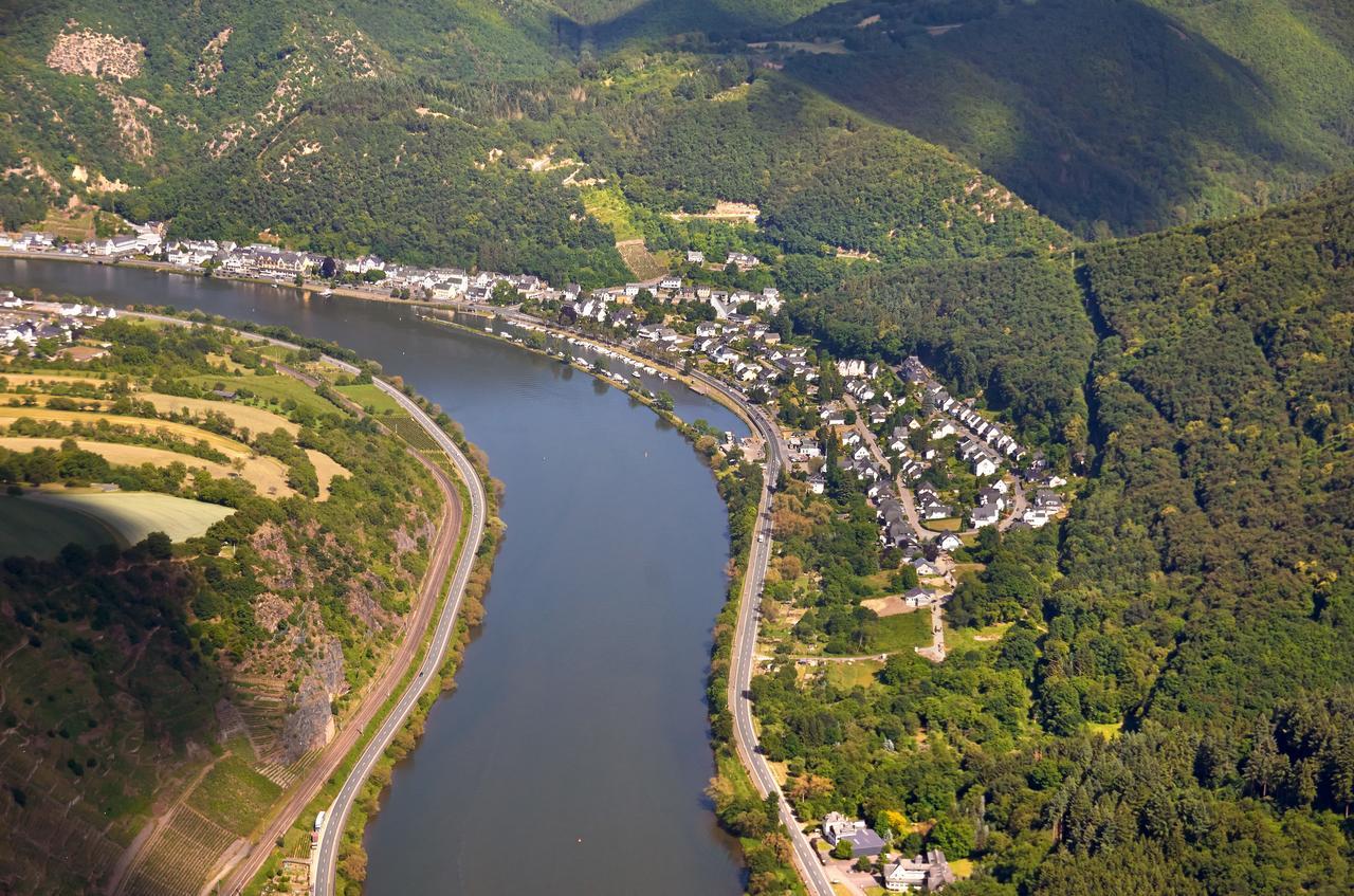 Pension "Haus Am Walde" Brodenbach, Mosel المظهر الخارجي الصورة