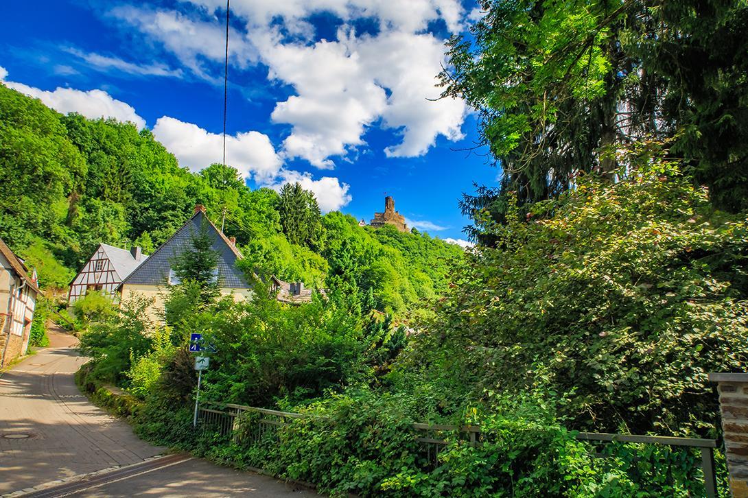 Pension "Haus Am Walde" Brodenbach, Mosel المظهر الخارجي الصورة