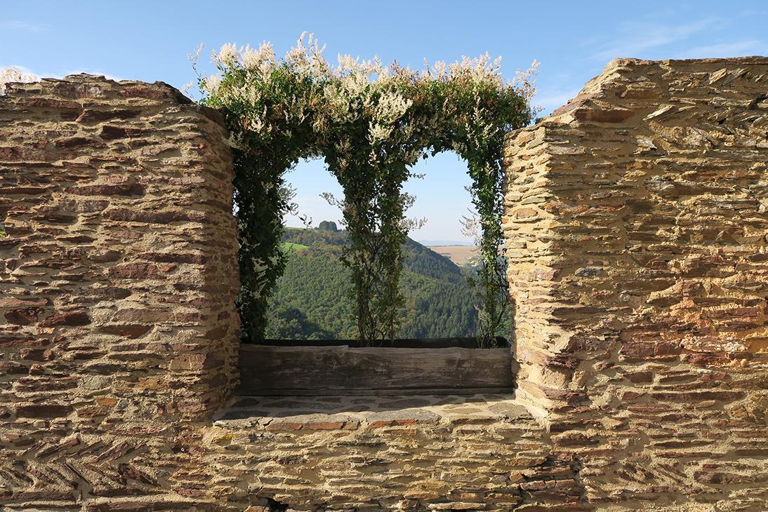 Pension "Haus Am Walde" Brodenbach, Mosel المظهر الخارجي الصورة
