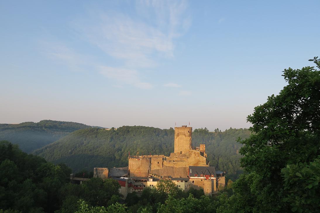 Pension "Haus Am Walde" Brodenbach, Mosel المظهر الخارجي الصورة